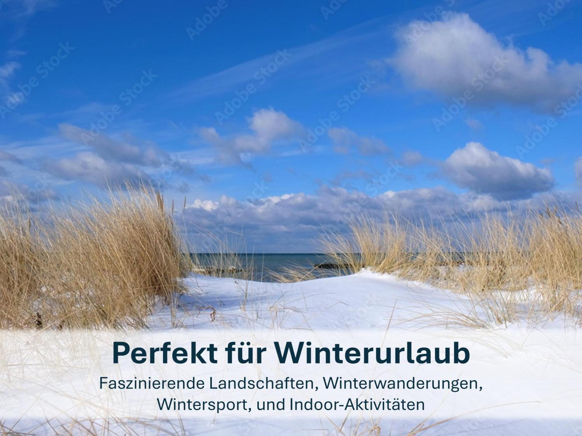 Zinnowitz, Paradies Am Wald - Wg 05 Eksteriør bilde